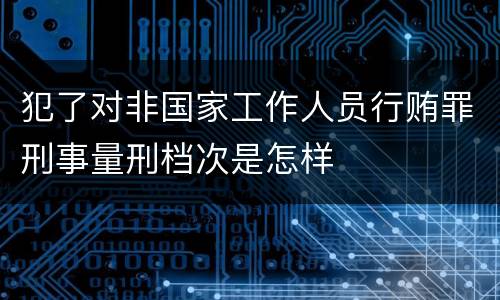 犯了对非国家工作人员行贿罪刑事量刑档次是怎样