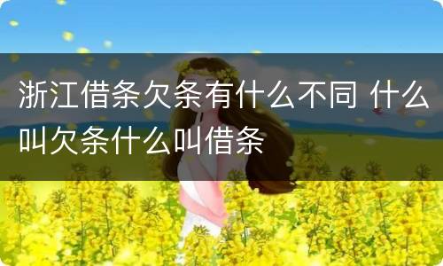 浙江借条欠条有什么不同 什么叫欠条什么叫借条