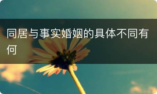 同居与事实婚姻的具体不同有何