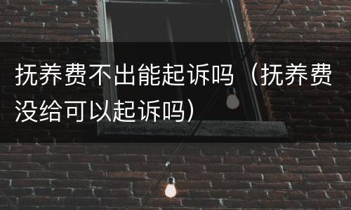 抚养费不出能起诉吗（抚养费没给可以起诉吗）