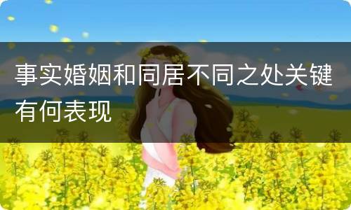 事实婚姻和同居不同之处关键有何表现