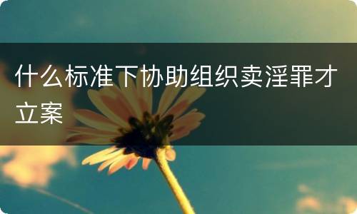 什么标准下协助组织卖淫罪才立案