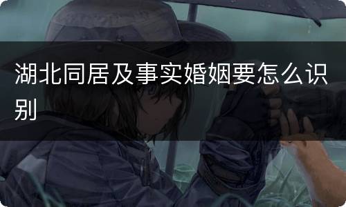 湖北同居及事实婚姻要怎么识别