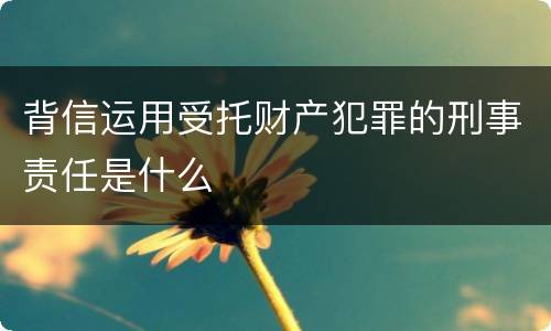 背信运用受托财产犯罪的刑事责任是什么