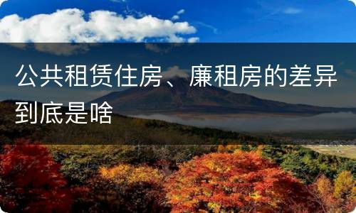 公共租赁住房、廉租房的差异到底是啥