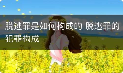 脱逃罪是如何构成的 脱逃罪的犯罪构成