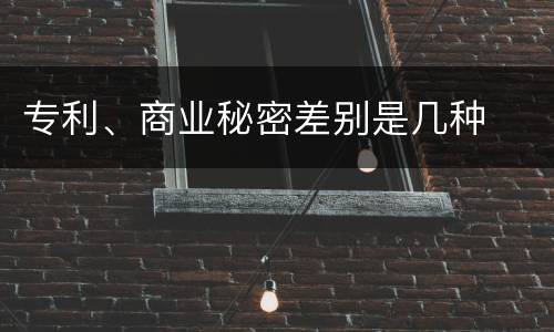 专利、商业秘密差别是几种