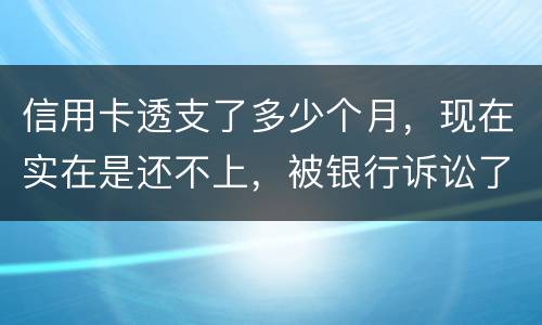 信用卡透支了多少个月，现在实在是还不上，被银行诉讼了要怎样办，谢谢