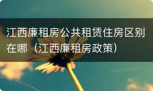 江西廉租房公共租赁住房区别在哪（江西廉租房政策）
