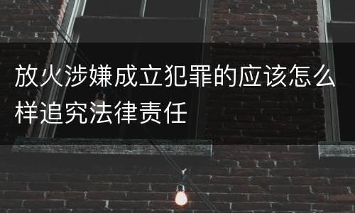 放火涉嫌成立犯罪的应该怎么样追究法律责任