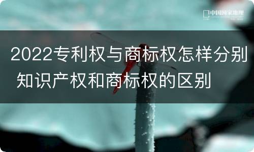 2022专利权与商标权怎样分别 知识产权和商标权的区别