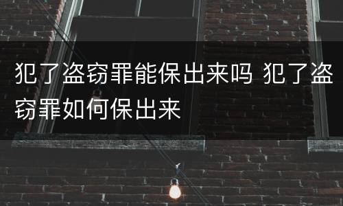 犯了盗窃罪能保出来吗 犯了盗窃罪如何保出来