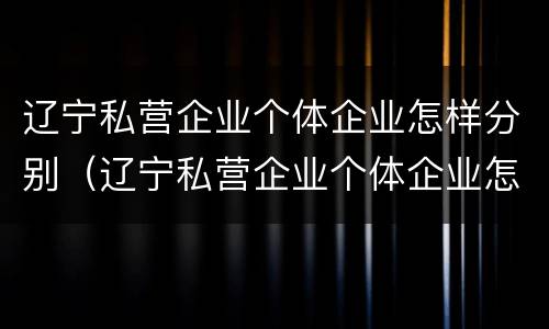辽宁私营企业个体企业怎样分别（辽宁私营企业个体企业怎样分别认定）