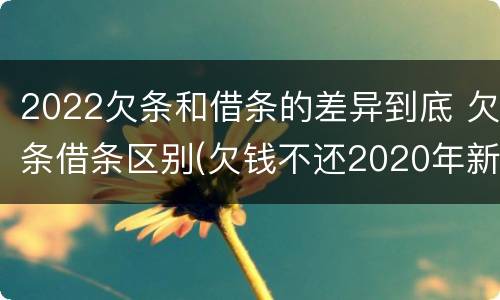 2022欠条和借条的差异到底 欠条借条区别(欠钱不还2020年新规 - 法律之家