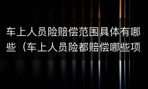 车上人员险赔偿范围具体有哪些（车上人员险都赔偿哪些项目）