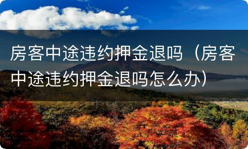 房客中途违约押金退吗（房客中途违约押金退吗怎么办）