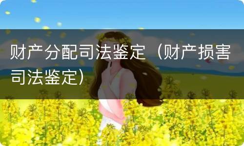 财产分配司法鉴定（财产损害司法鉴定）