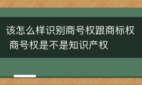 该怎么样识别商号权跟商标权 商号权是不是知识产权