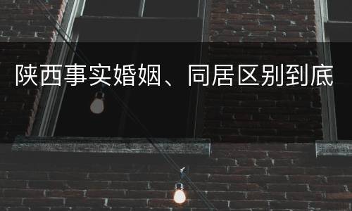 陕西事实婚姻、同居区别到底