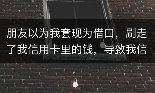 朋友以为我套现为借口，刷走了我信用卡里的钱，导致我信用卡透支，这应该怎么办