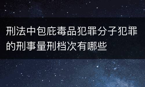 刑法中包庇毒品犯罪分子犯罪的刑事量刑档次有哪些