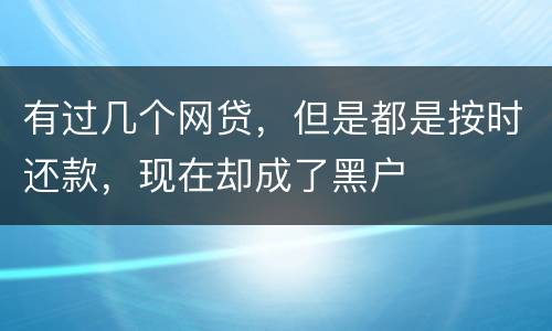 有过几个网贷，但是都是按时还款，现在却成了黑户