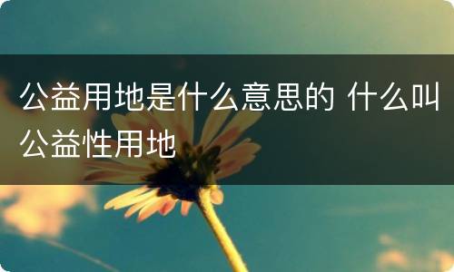公益用地是什么意思的 什么叫公益性用地