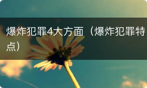 爆炸犯罪4大方面（爆炸犯罪特点）