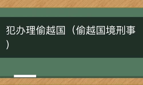 犯办理偷越国（偷越国境刑事）