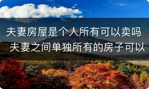夫妻房屋是个人所有可以卖吗 夫妻之间单独所有的房子可以单独卖吗?