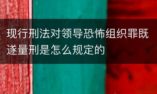现行刑法对领导恐怖组织罪既遂量刑是怎么规定的