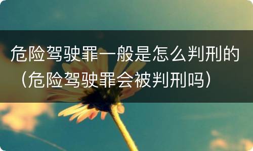 危险驾驶罪一般是怎么判刑的（危险驾驶罪会被判刑吗）