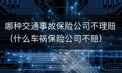哪种交通事故保险公司不理赔（什么车祸保险公司不赔）