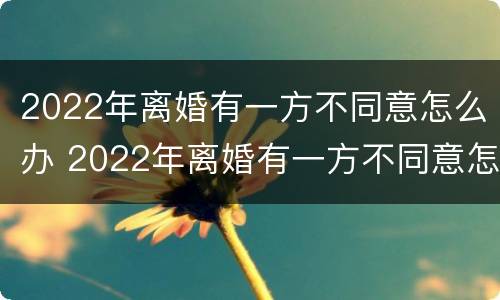 2022年离婚有一方不同意怎么办 2022年离婚有一方不同意怎么办呀