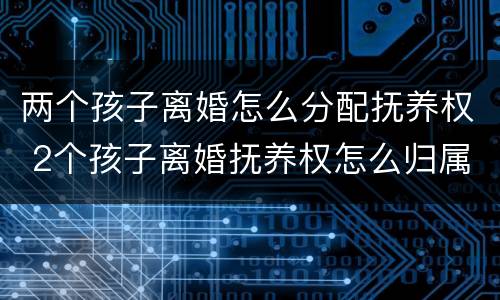 两个孩子离婚怎么分配抚养权 2个孩子离婚抚养权怎么归属