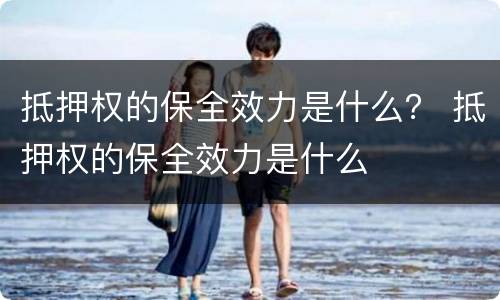 抵押权的保全效力是什么？ 抵押权的保全效力是什么