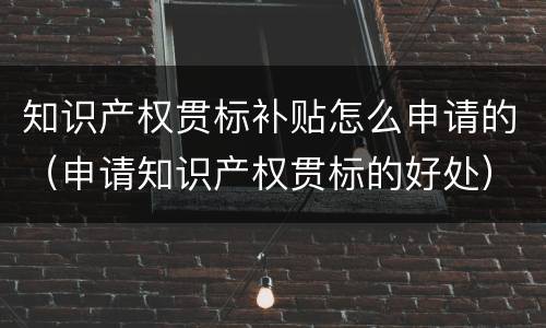 知识产权贯标补贴怎么申请的（申请知识产权贯标的好处）