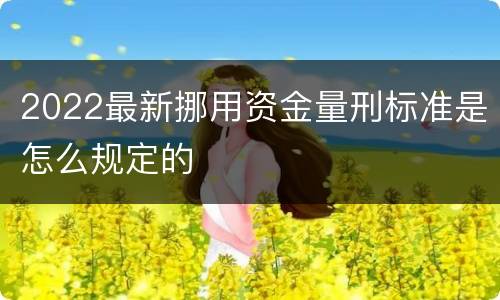 2022最新挪用资金量刑标准是怎么规定的