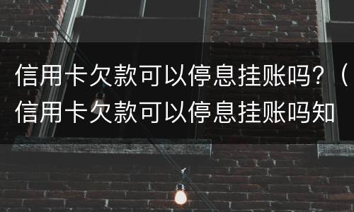 信用卡欠款可以停息挂账吗?（信用卡欠款可以停息挂账吗知乎）