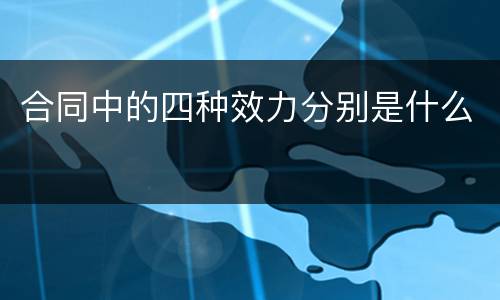 合同中的四种效力分别是什么