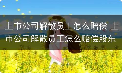 上市公司解散员工怎么赔偿 上市公司解散员工怎么赔偿股东