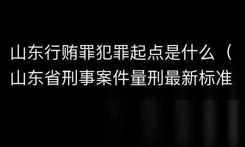山东行贿罪犯罪起点是什么（山东省刑事案件量刑最新标准）
