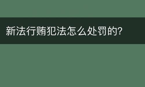 新法行贿犯法怎么处罚的？
