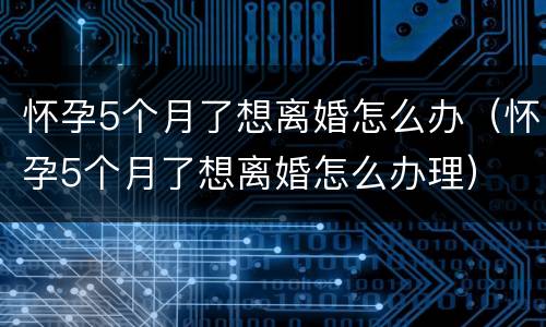 怀孕5个月了想离婚怎么办（怀孕5个月了想离婚怎么办理）