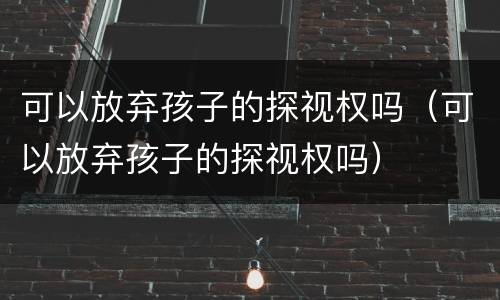 可以放弃孩子的探视权吗（可以放弃孩子的探视权吗）
