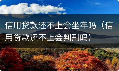 信用贷款还不上会坐牢吗（信用贷款还不上会判刑吗）