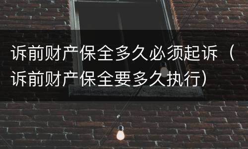 诉前财产保全多久必须起诉（诉前财产保全要多久执行）