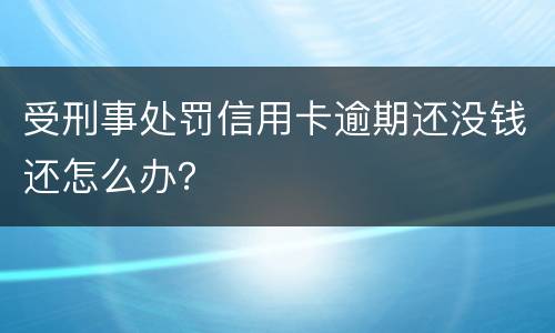 受刑事处罚信用卡逾期还没钱还怎么办？