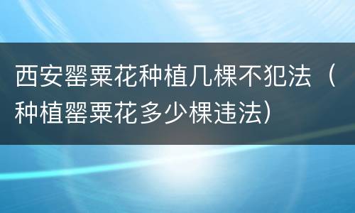 西安罂粟花种植几棵不犯法（种植罂粟花多少棵违法）