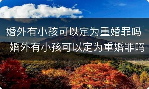 婚外有小孩可以定为重婚罪吗 婚外有小孩可以定为重婚罪吗